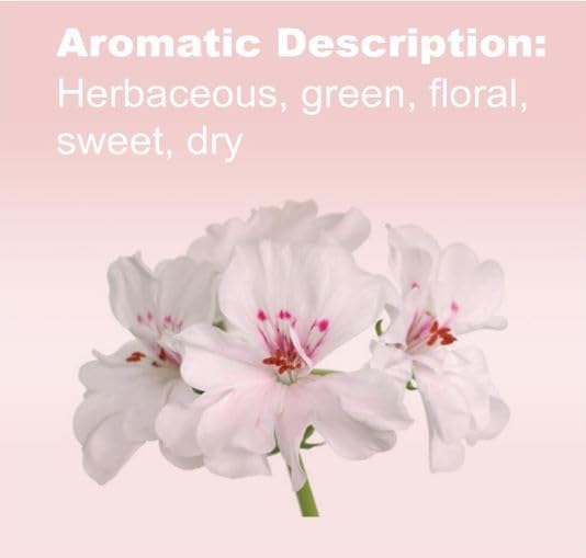 دوتيرا 3 من زيوت سي بي تي جي اميريكان اسنشيال اون ذا بلانيت الكل في 1