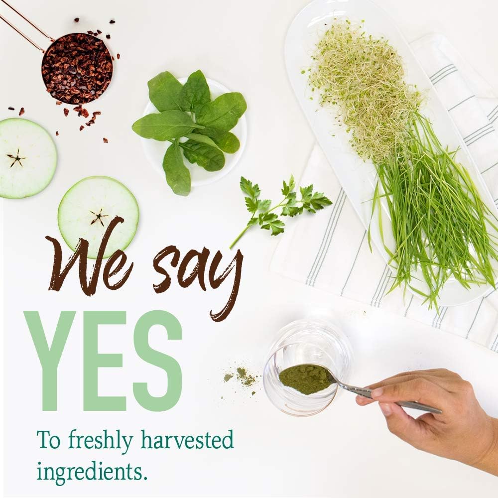 جاردن اوف لايف مسحوق عضوي ممتاز من رو اورجانيك بيرفكت فود - مسحوق نباتي اصلي خالي من ستيفي وغير معدل وراثيا وخالي من الجلوتين ومكملات غذائية، 60 حصة، 14 اونصة