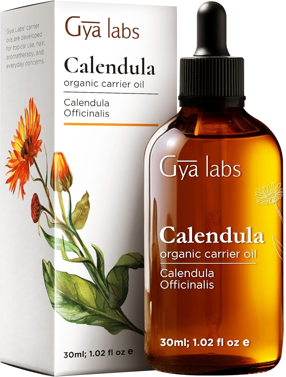 زيت تدليك مريح وحسي من جيا لابس للأزواج - زيت جسم غني باليلانغ يلانغ والروز جيرانيوم والارغان العضوي للبشرة - 100٪ زيت تدليك طبيعي ونقي - (200 مل)