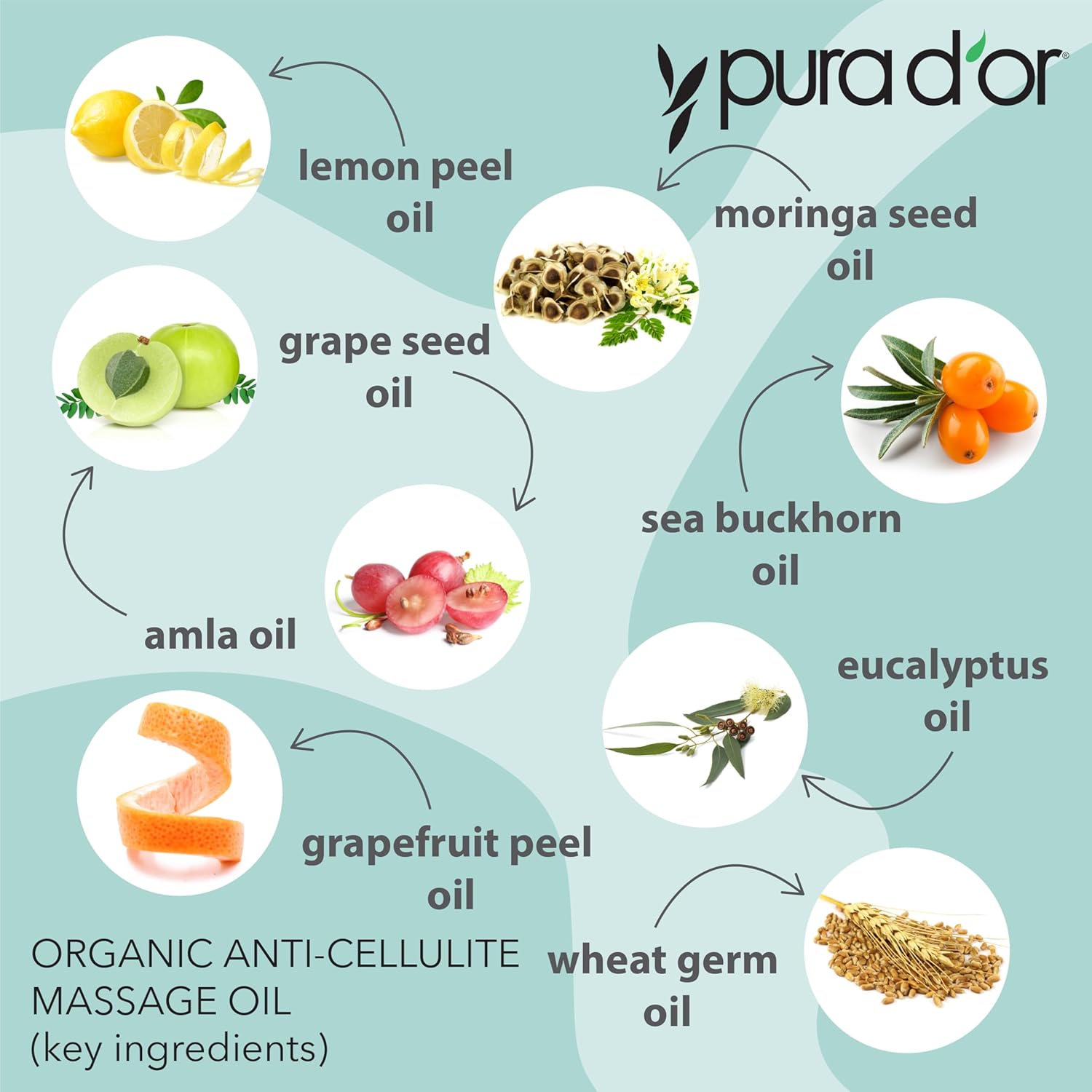 بيورا دور زيت تدليك عضوي مضاد للسيلوليت سعة 16 اونصة - زيت قشر الليمون والمورينجا وبذور العنب والجريب فروت وزيوت الاوكالبتوس - لشد البشرة والافراد النشطين وكبار السن