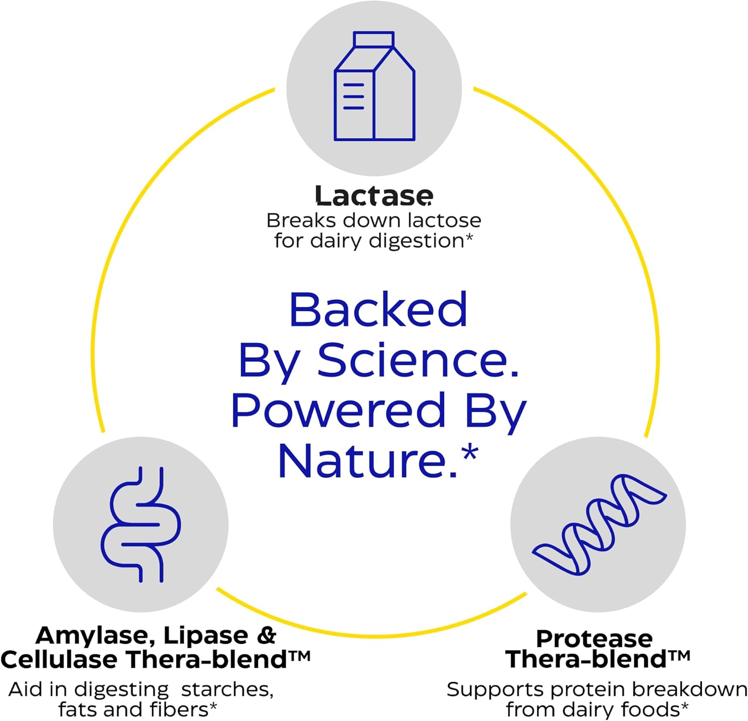 مكمل غذائي للجنسين من انزيميديكا على هيئة كبسولات - الحجم 30 كبسولة