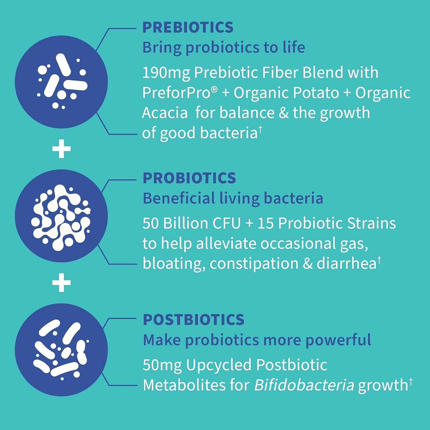 غاردن أوف لايف - مكمل دكتور فورميوليتد يومي كامل 3 في 1 من البريبيوتيك والبوستبيوتيكس والبروبيوتيك للنساء والرجال - مكمل PRE + PRO + POSTBIOTIC لتخفيف الغازات والانتفاخ - 50 مليار وحدة مستعمرة، زجاجة