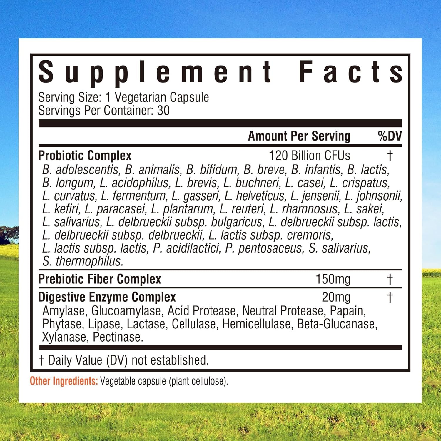 بروبيوتيك 3 في 1 من اينيت فيتاليتي 120 مليار سي اف يو و34 سلالة مع بريبايوتكس عضوية وانزيمات الجهاز الهضمي - 30 كبسولة نباتية