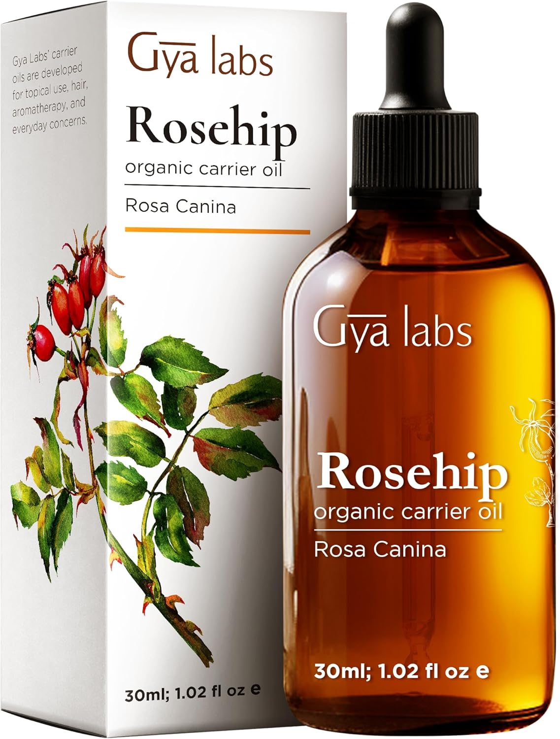 زيت تدليك مريح وحسي من جيا لابس للأزواج - زيت جسم غني باليلانغ يلانغ والروز جيرانيوم والارغان العضوي للبشرة - 100٪ زيت تدليك طبيعي ونقي - (200 مل)