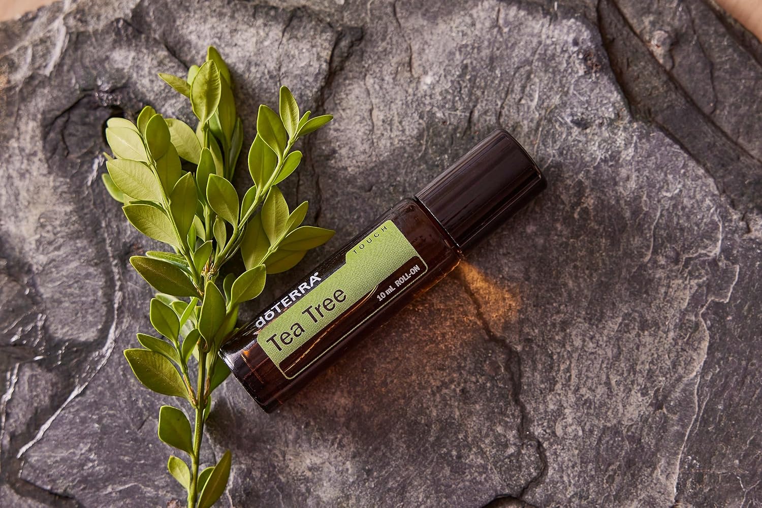 دوتيرا - زيت عطري تاتش (شجرة الشاي) من ميلاليوكا - 10 مل